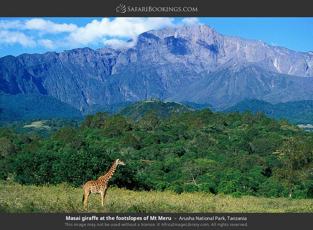 arusha_np