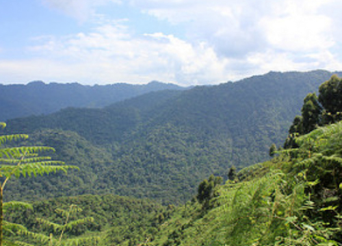 bwindi_np