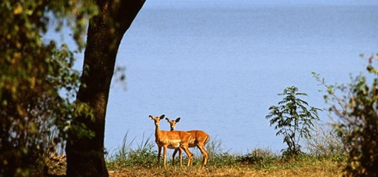 Tsavo East National Park