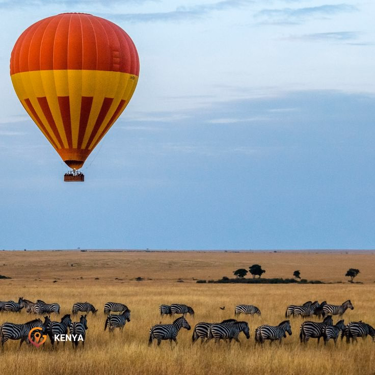 Masai Mara National Reserve