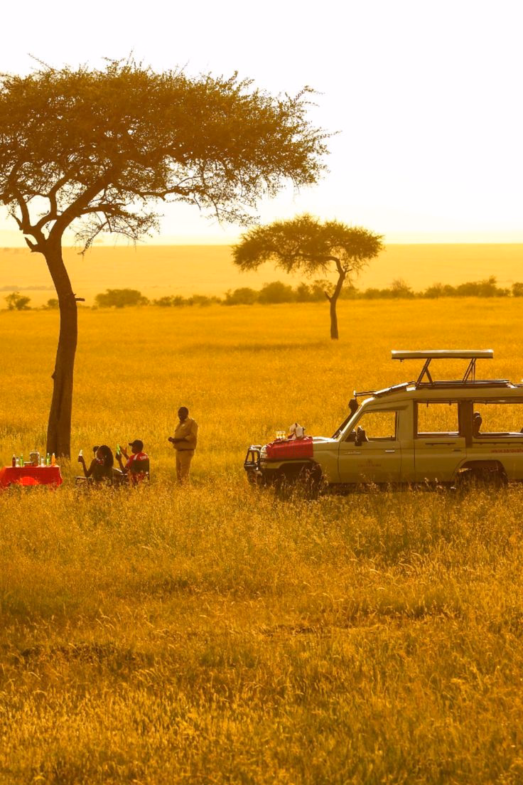 Masai Mara National Reserve