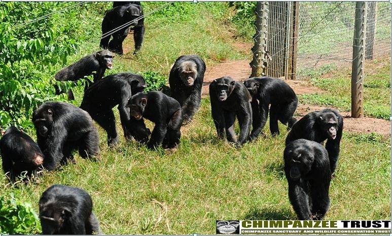 ngamba_sanctuary
