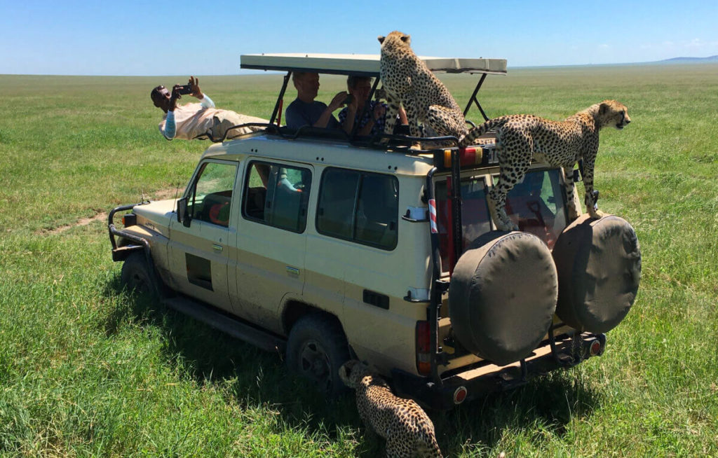 serengeti_np_game_drive