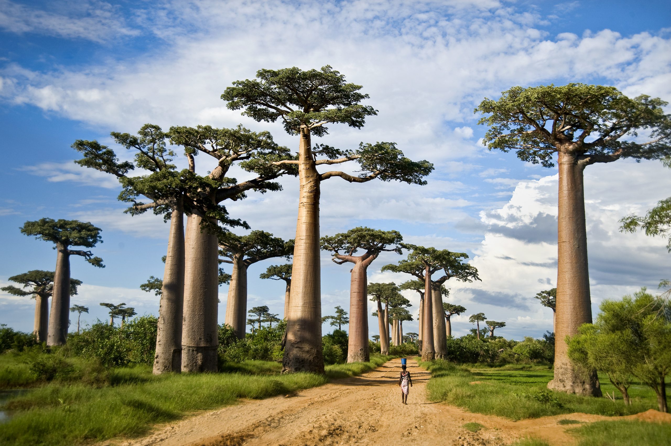 tarangire_np