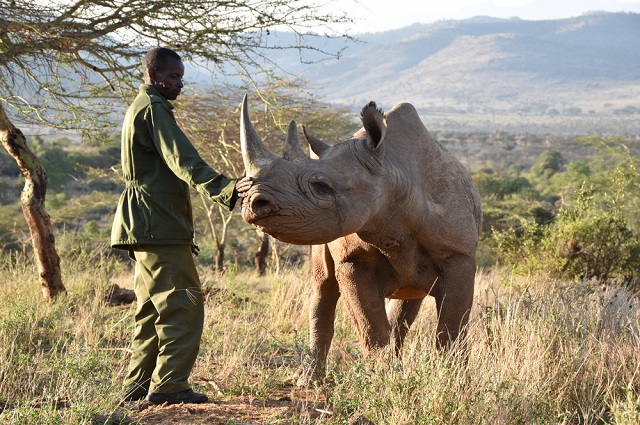 ziwa_white_rhino